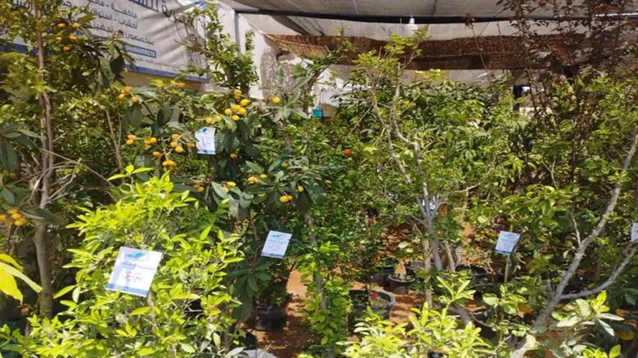 موعد افتتاح معرض الزهور 2026 الرسمي.. كيف تصل إليه؟